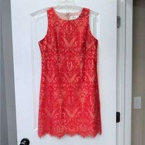 Eliza J Lace Overlay Sleeveless Dress, Coral, 10